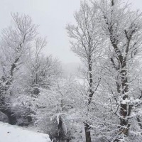 سلانسر رستم آباد